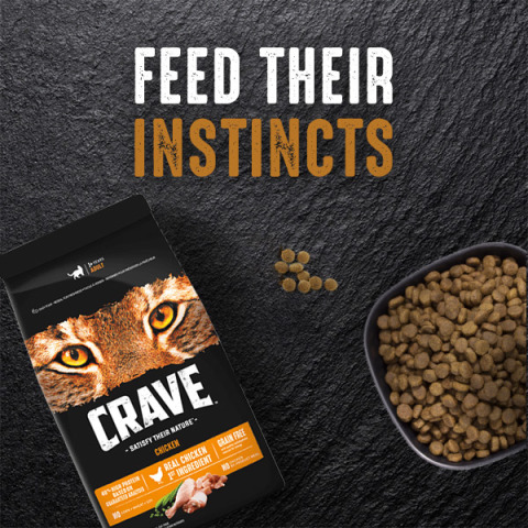 Crave Real Chicken Salmon High Protein Dry Cat Food Walmart Canada