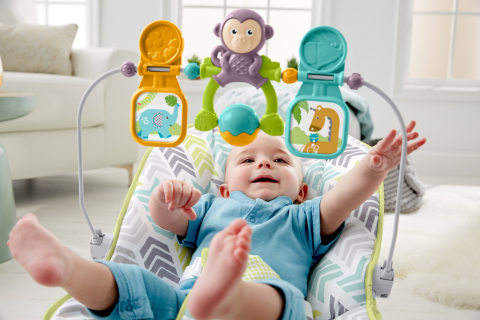 Fisher Price Baby s Bouncer Walmart