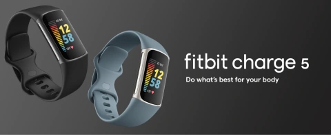 その他 Google - Charge 5 Graphite Fitbit Charge 5 - Graphite stainless steel - activity