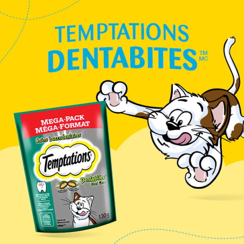 temptations dentabites