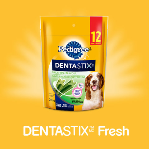 dentastix fresh medium